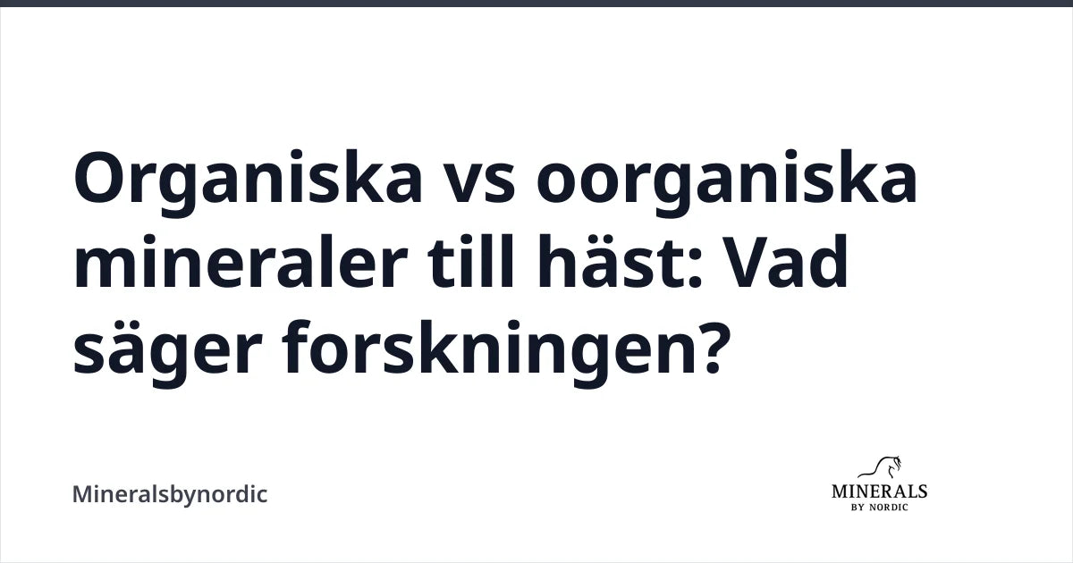 Organiska vs oorganiska mineraler till häst: Vad säger forskningen? — Mineralsbynordic