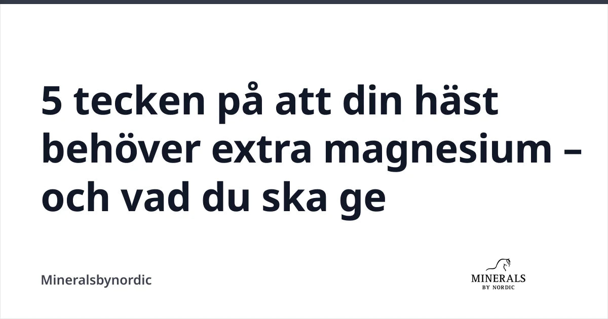 5 tecken på att din häst behöver extra magnesium – och vad du ska ge — Mineralsbynordic