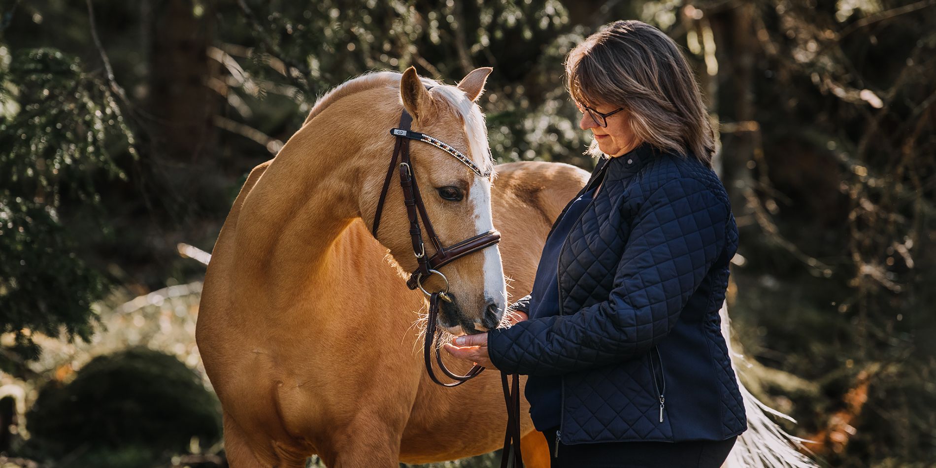 Bästa råden för hästens mage från MbN grundaren