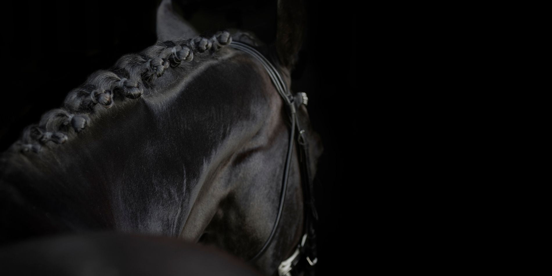 När hästen får kolik