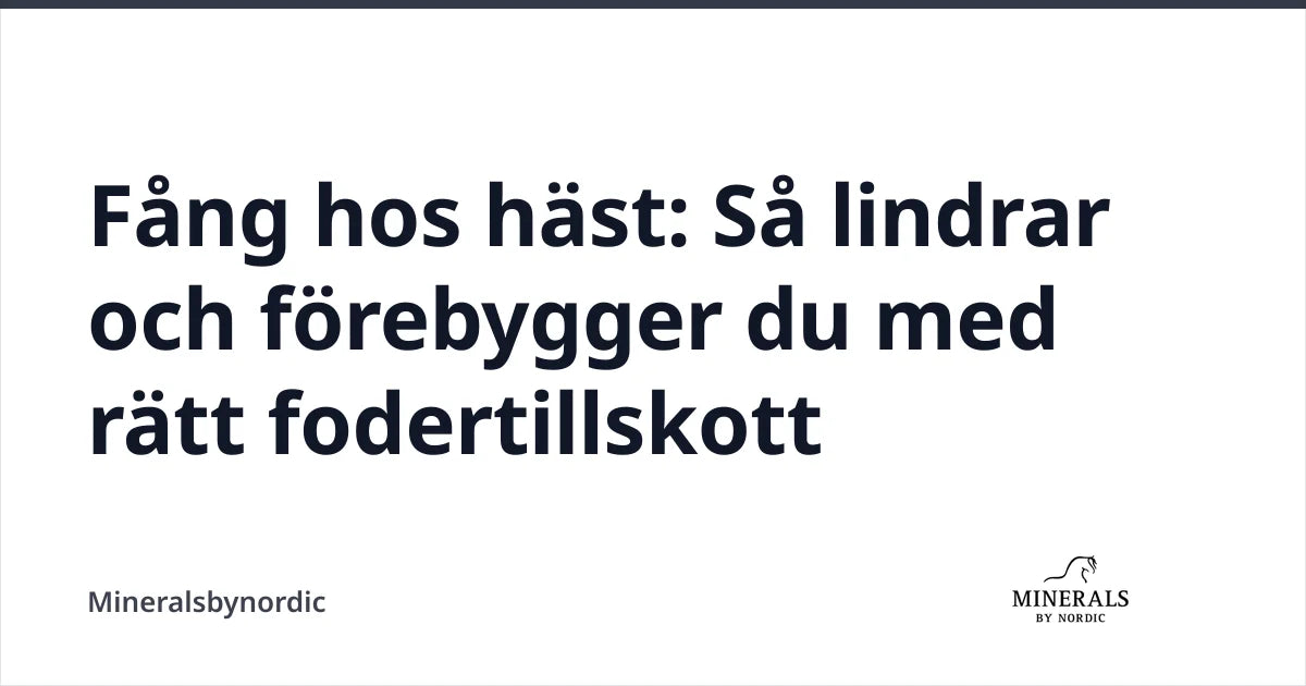 Fång hos häst: Så lindrar och förebygger du med rätt fodertillskott — Mineralsbynordic
