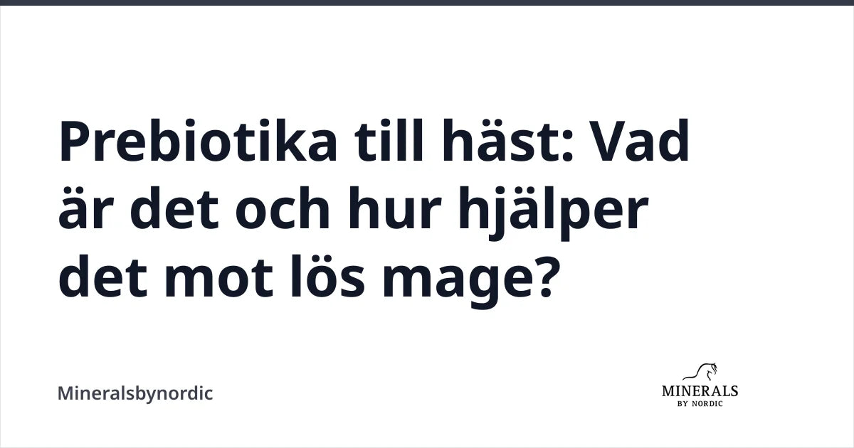 Prebiotika till häst: Vad är det och hur hjälper det mot lös mage? — Mineralsbynordic