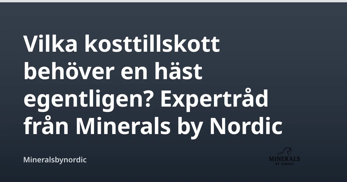 Vilka kosttillskott behöver en häst egentligen? Expertråd från Minerals by Nordic — Mineralsbynordic
