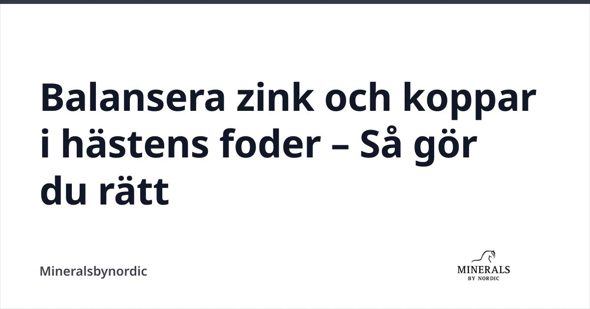 Balansera zink och koppar i hästens foder – Så gör du rätt — Mineralsbynordic